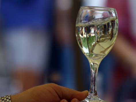 MOM, Fira Gastronòmica de vins i caves 2017