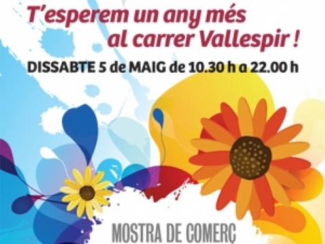 Muestra de Comercio en Vallespir