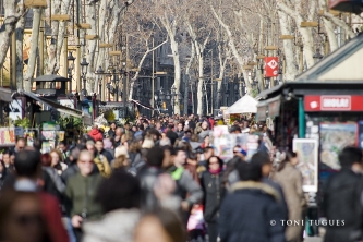 L'ajuntament de Barcelona atorga la Medalla d'Honor de la Ciutat a l'Associació d'Amics, Veïns i Comerciants de La Rambla