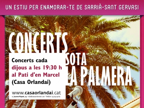 Conciertos bajo la Palma