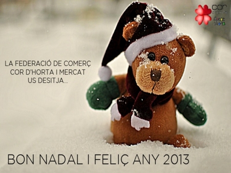 Feliç Nadal i feliç any 2013