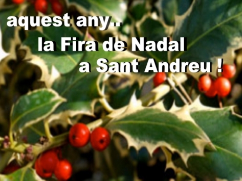 1ª FIRA DE NADAL A SANT ANDREU!