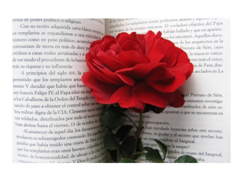 21 de abril: Dia del Libro en el Dominical de Sant Antoni